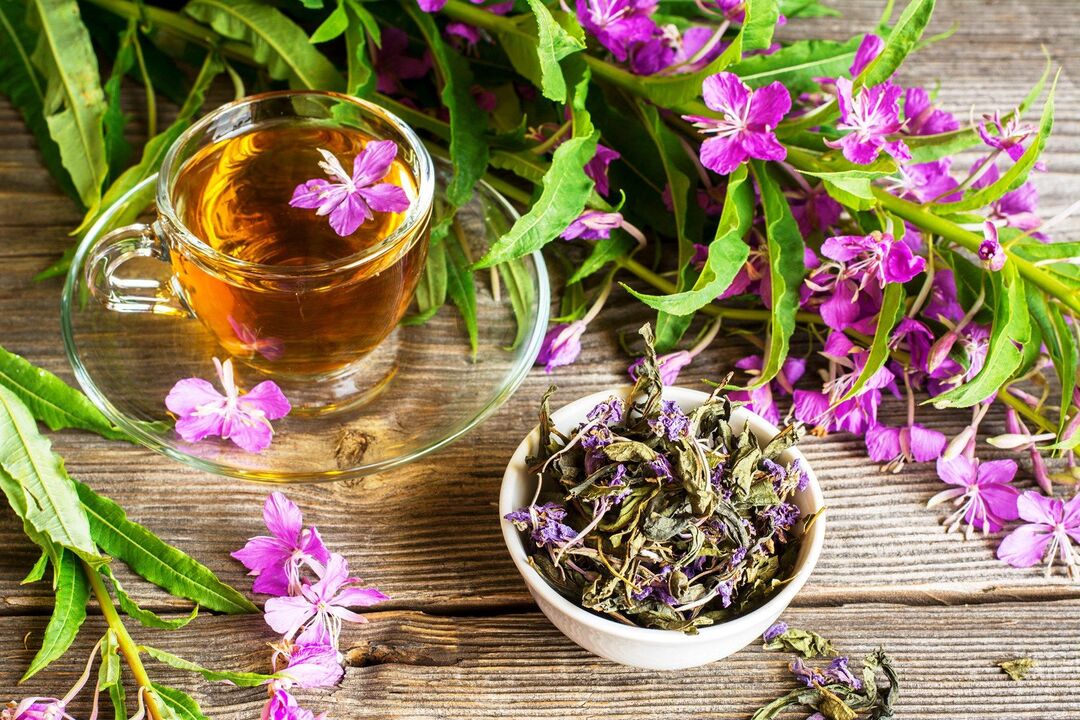 ivan tea to increase potency