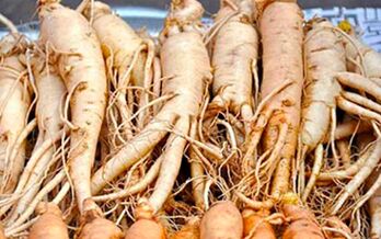 Ginseng root helps stimulate male sexual activity