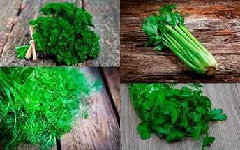 Parsley, celery, dill and coriander should be included in men's diets to increase potency
